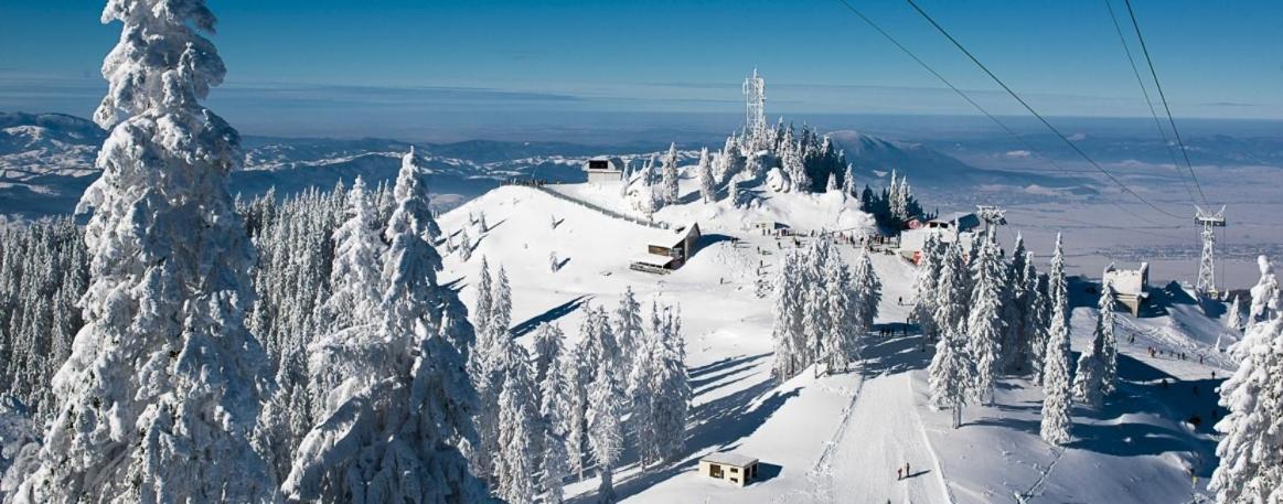 Panoramic Residence Zărneşti Extérieur photo