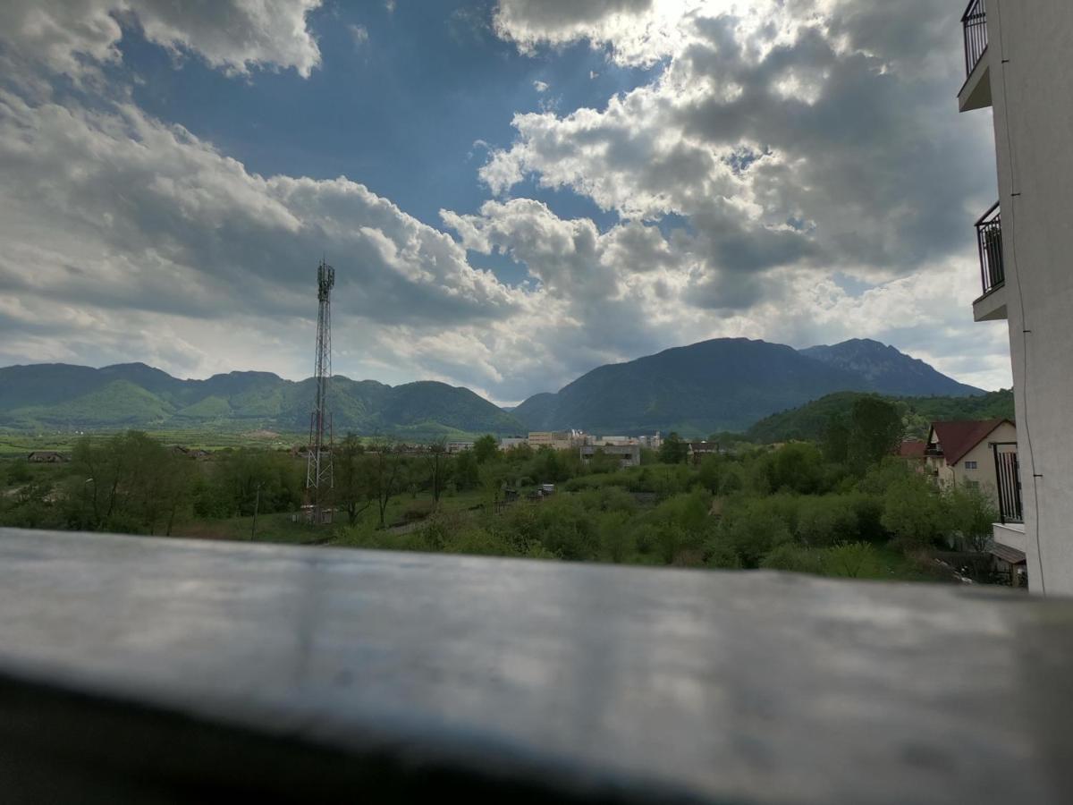 Panoramic Residence Zărneşti Extérieur photo