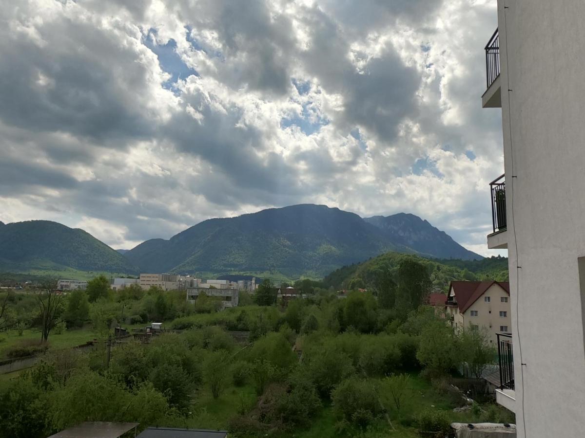 Panoramic Residence Zărneşti Extérieur photo