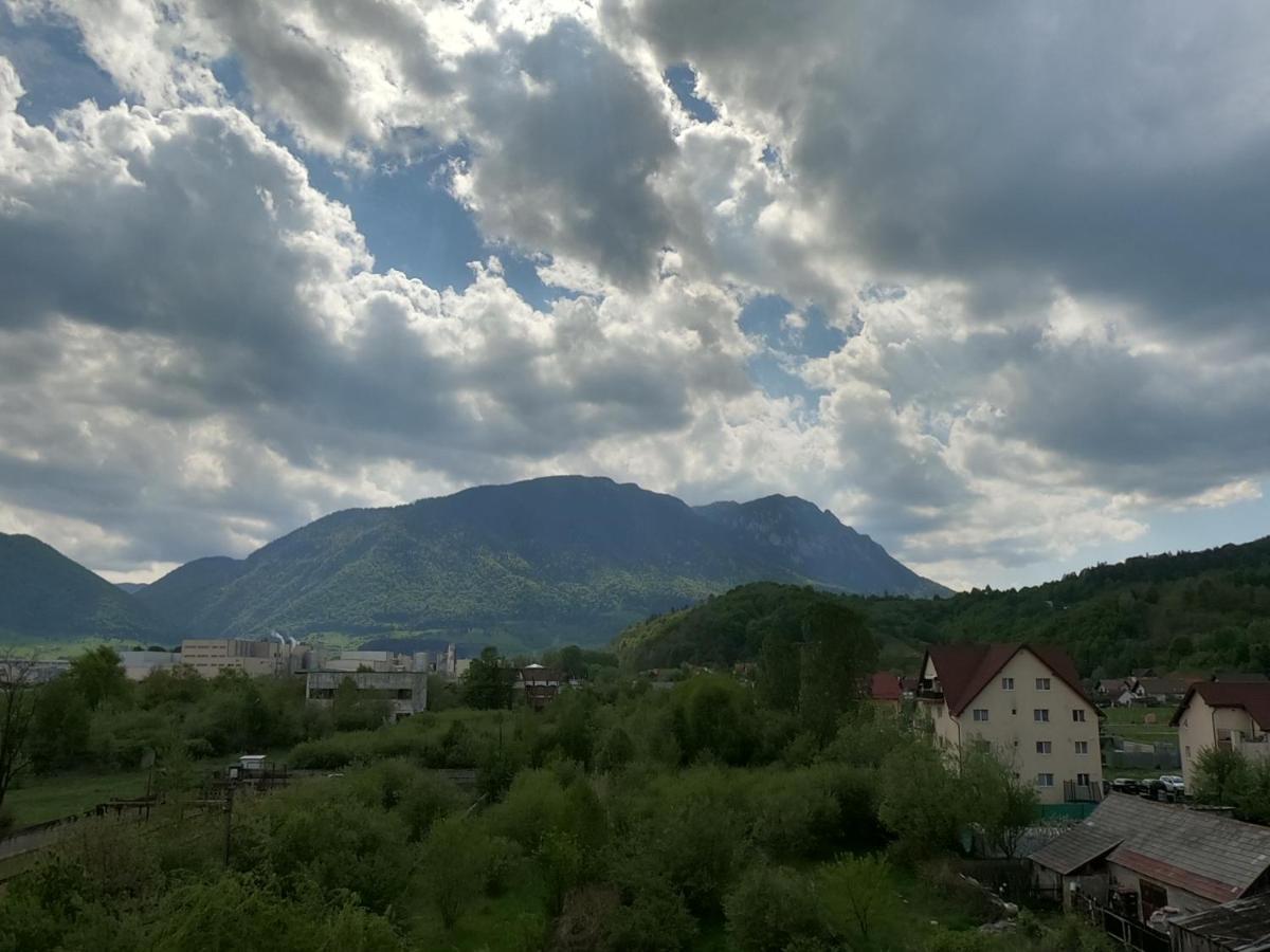 Panoramic Residence Zărneşti Extérieur photo