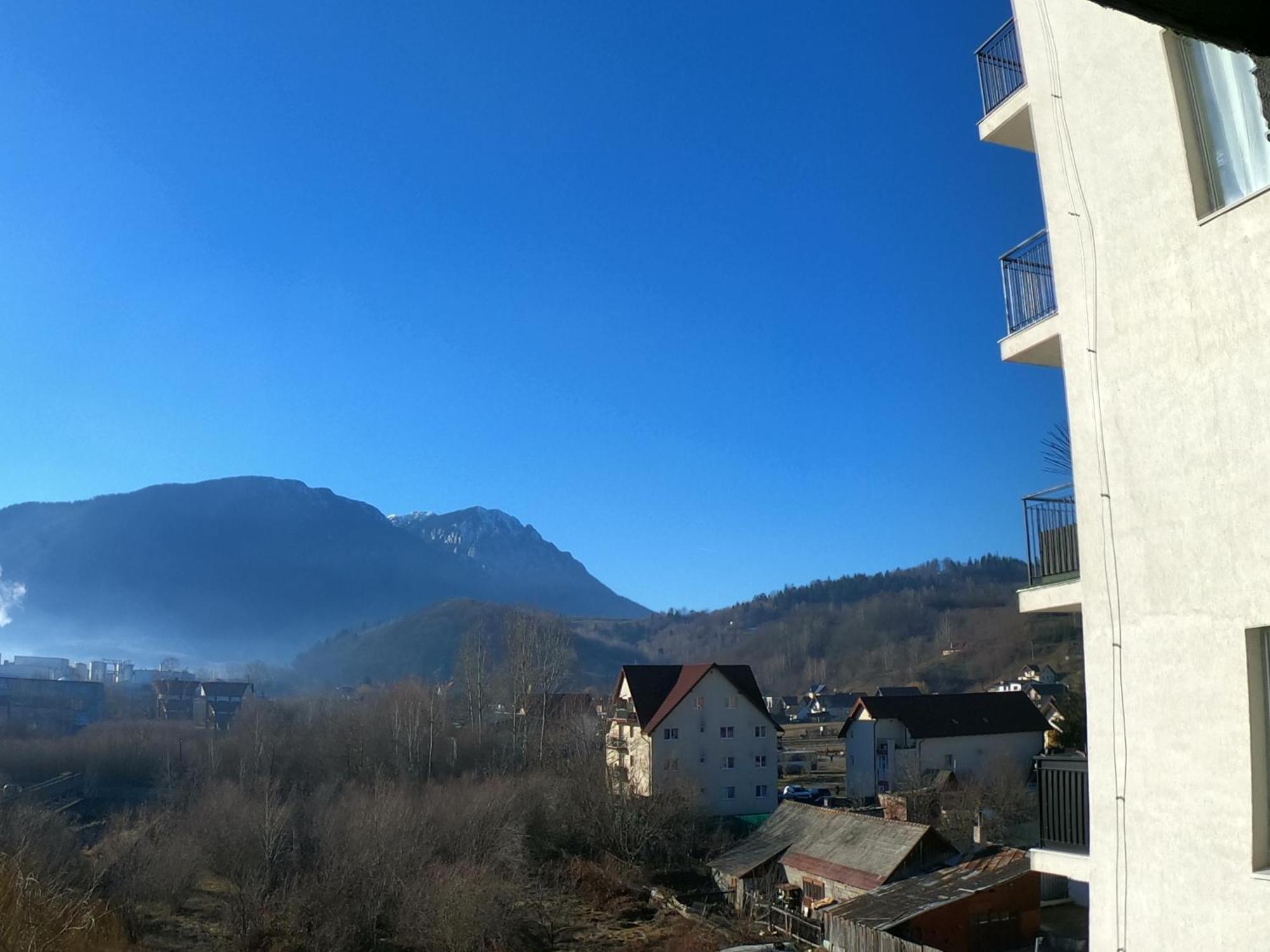 Panoramic Residence Zărneşti Extérieur photo